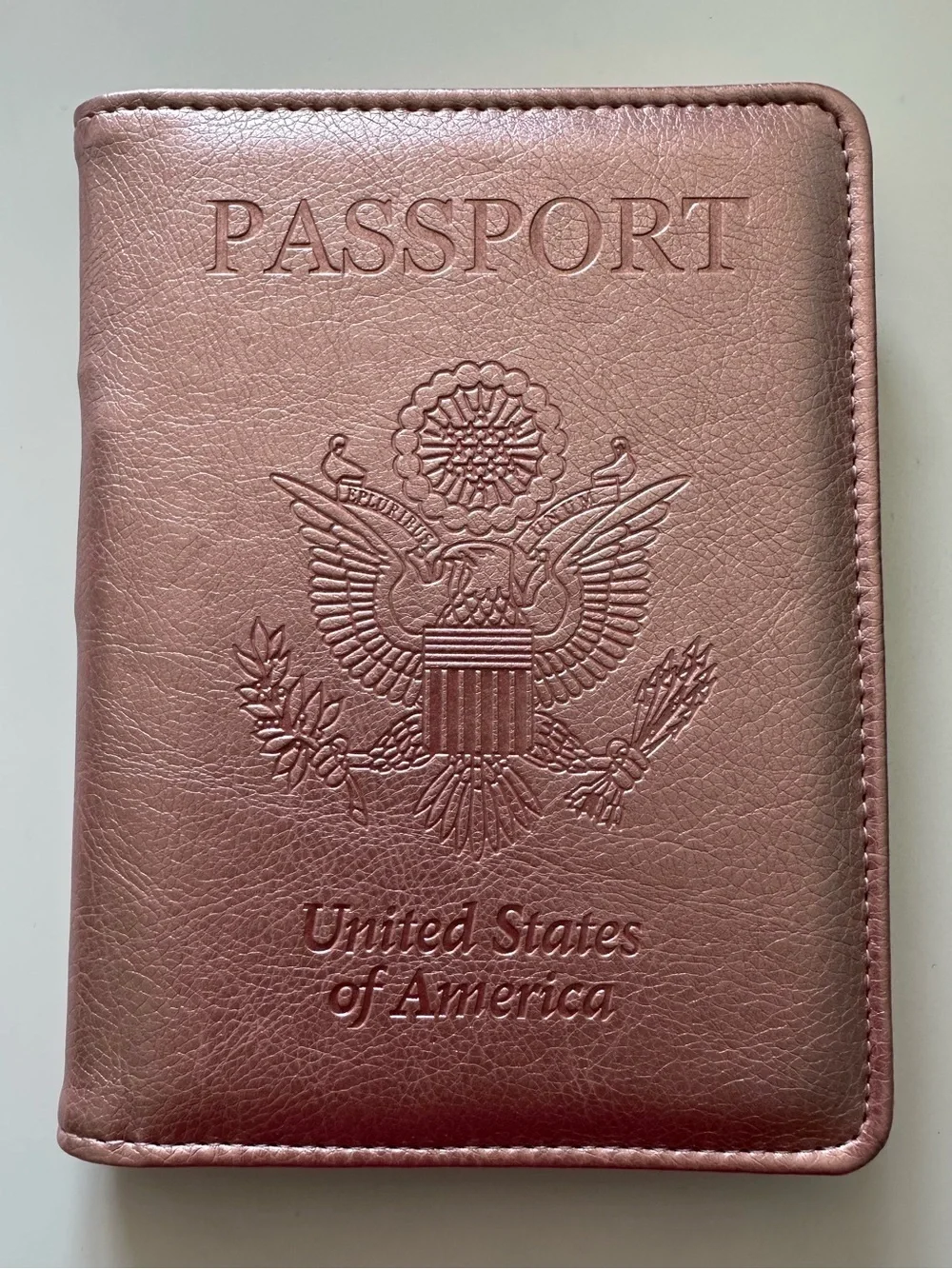 Pink Metallic Passport Holder Card Slots Pen Sim Money International Travel USA